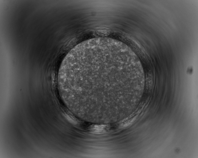 X0000103320134200810171410