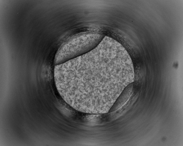 X0000103320136200810171410