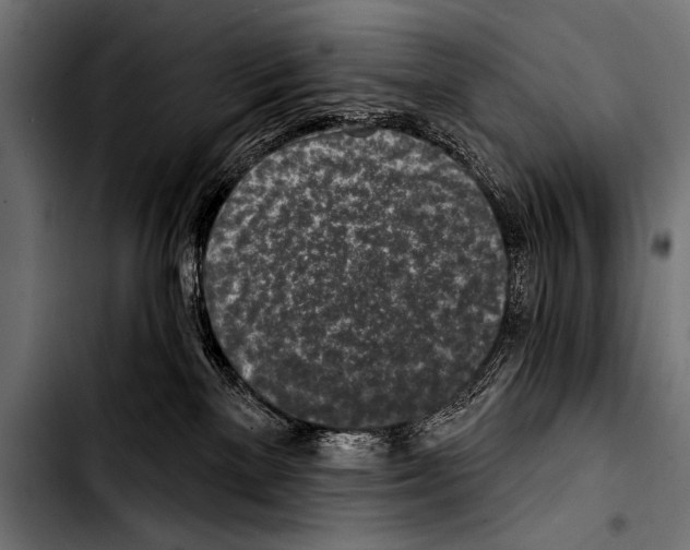 X0000103320137200810171410