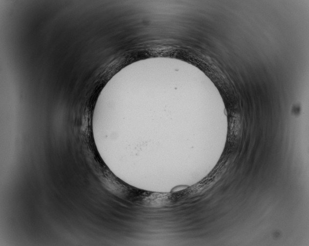 X0000103320138200810171410