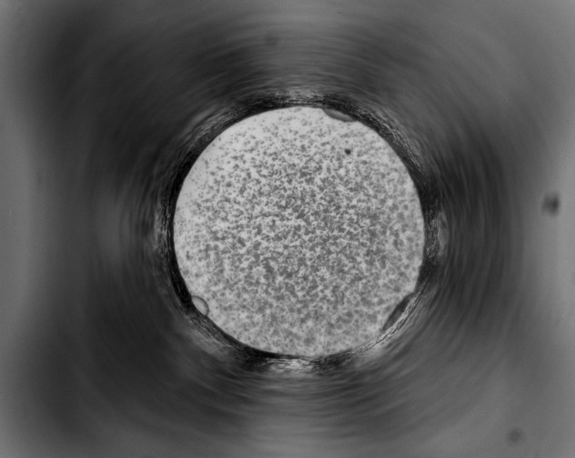 X0000103320140200810171410