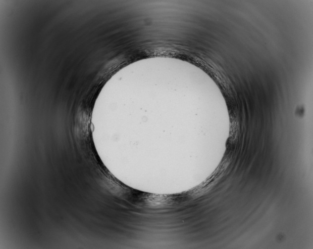 X0000103320142200810171410