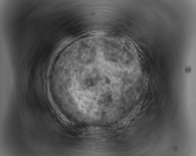 X0000103320145200810171409
