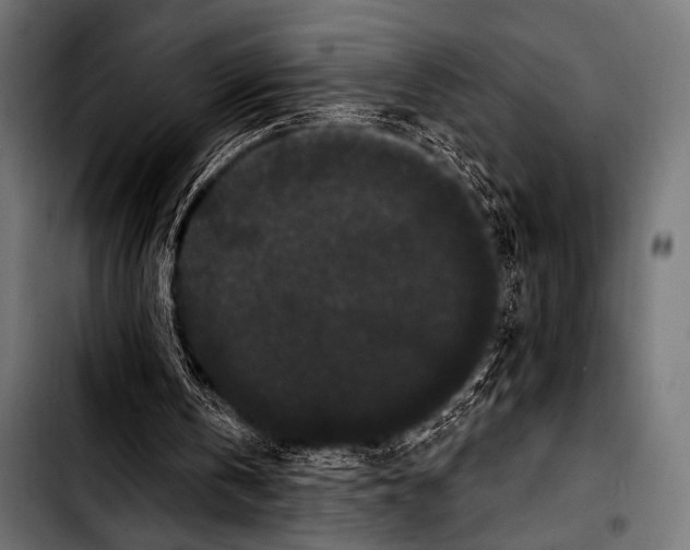 X0000103320146200810171409