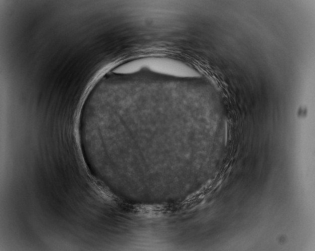 X0000103320147200810171409