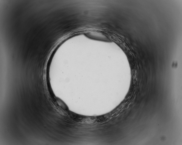 X0000103320148200810171409