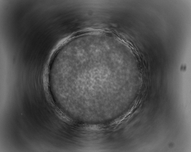 X0000103320149200810171409