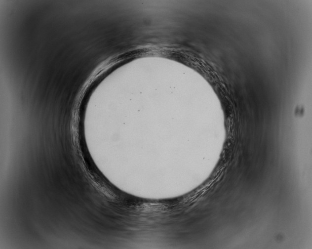 X0000103320150200810171409