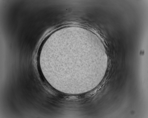 X0000103320151200810171409