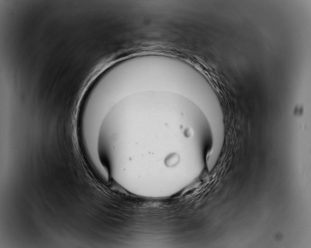 X0000103320152200810171409