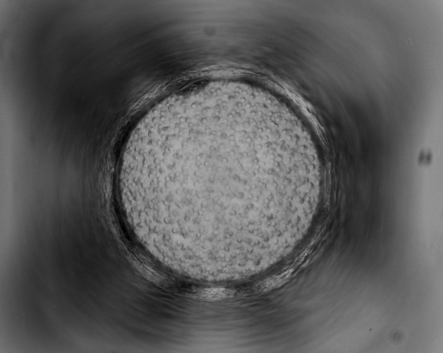 X0000103320153200810171409