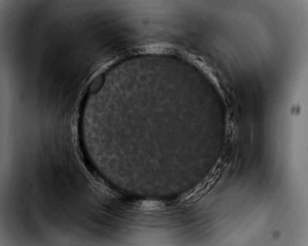 X0000103320154200810171409