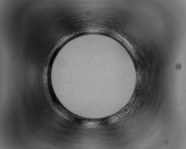 X0000103320155200810171409