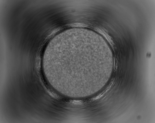 X0000103320157200810171409