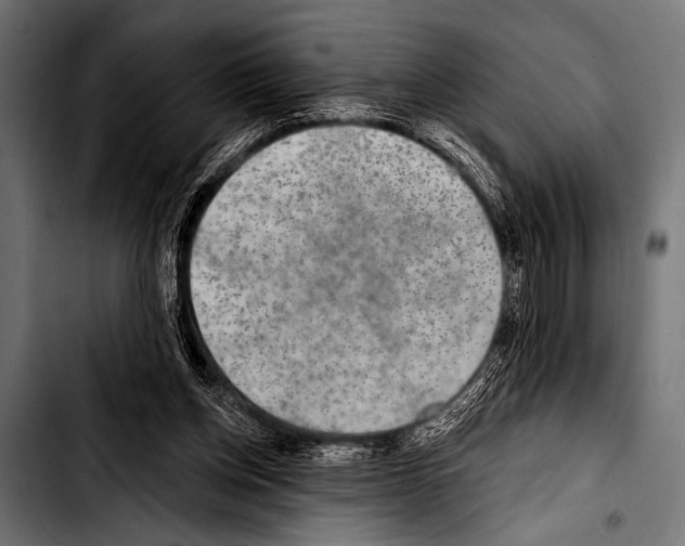 X0000103320158200810171409