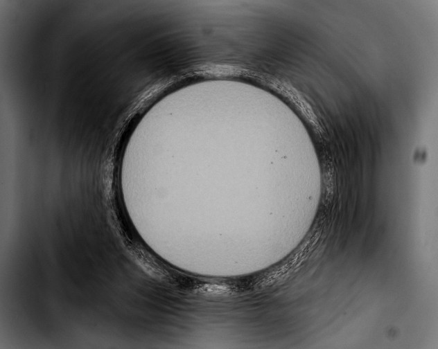 X0000103320159200810171409