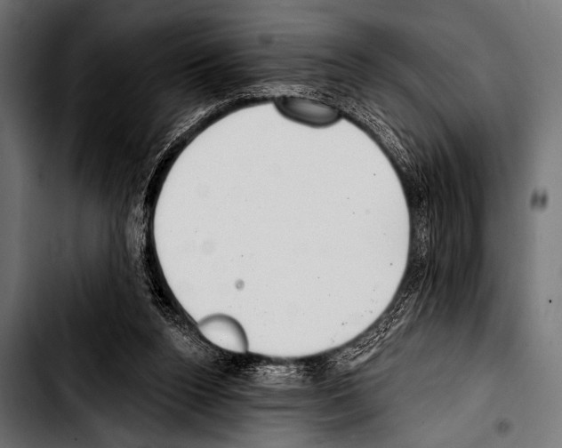 X0000103320160200810171409