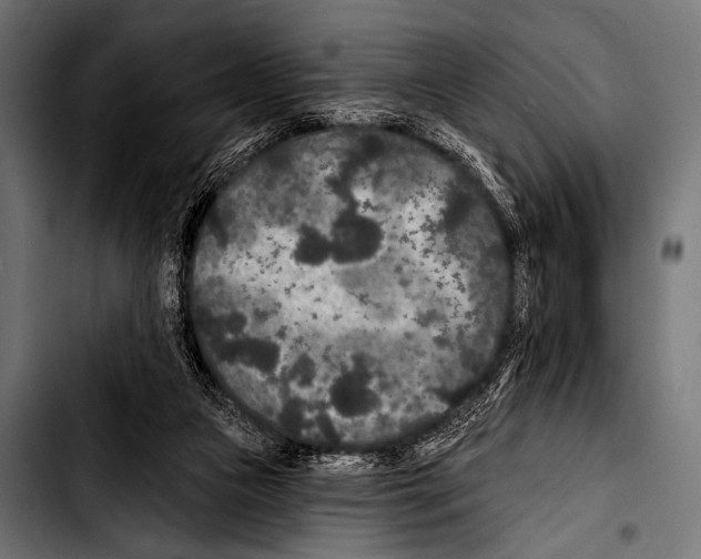 X0000103320161200810171409