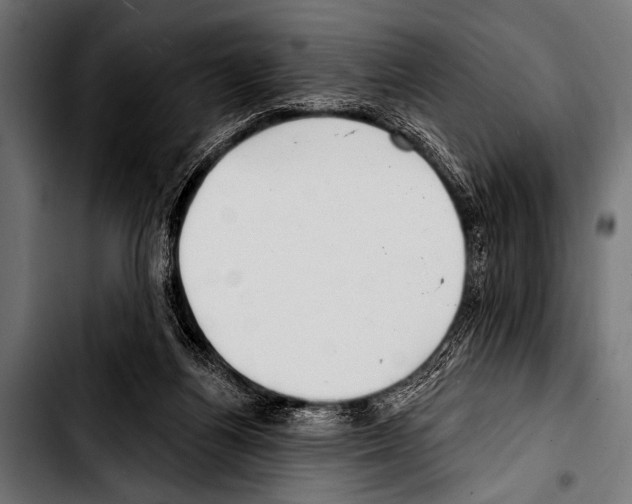 X0000103320164200810171409