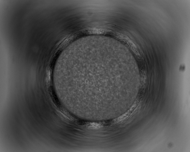 X0000103320166200810171409