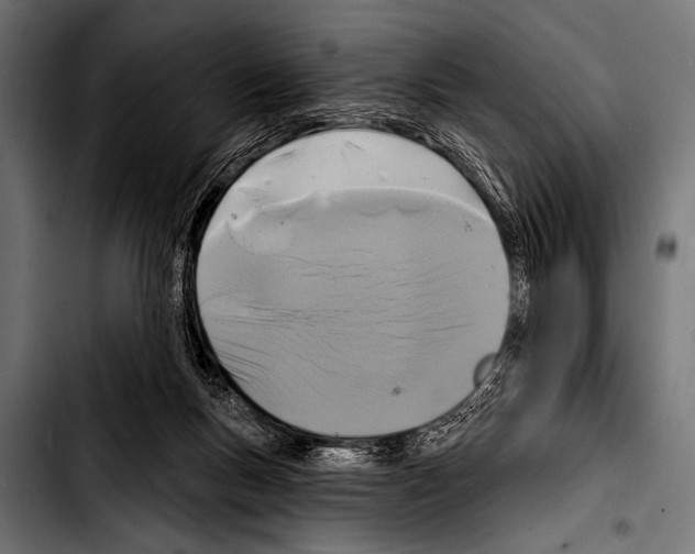 X0000103320167200810171409