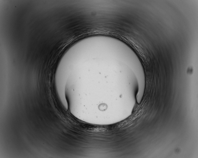X0000103320168200810171409