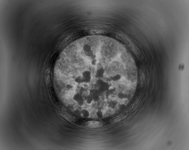 X0000103320169200810171409