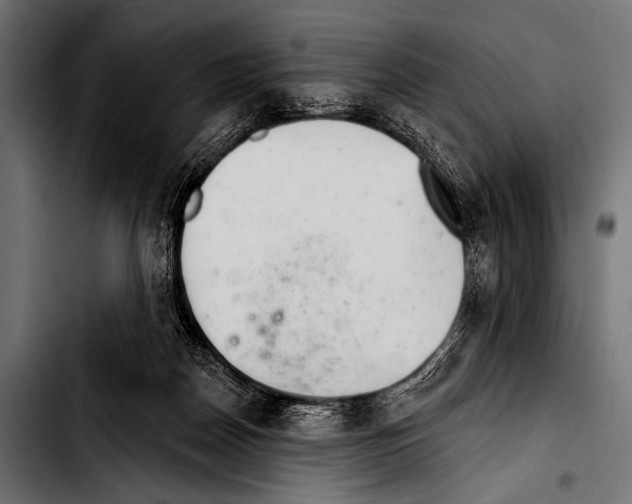 X0000103320170200810171409