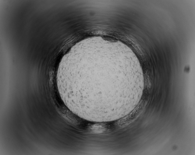 X0000103320171200810171410