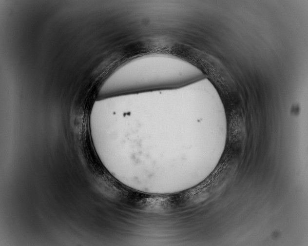 X0000103320172200810171410