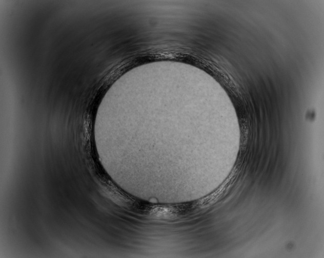 X0000103320174200810171410
