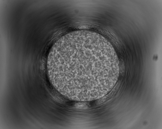 X0000103320175200810171410