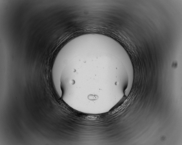 X0000103320176200810171410