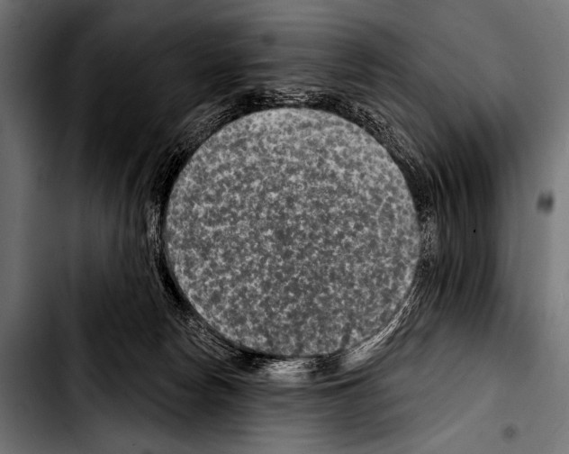 X0000103320178200810171410