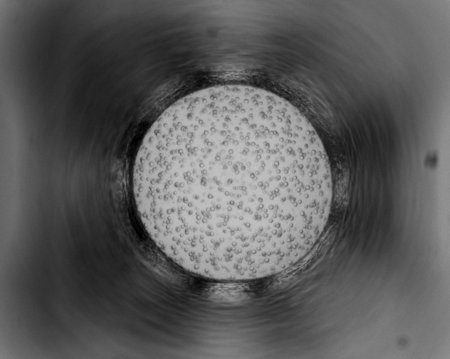 X0000103320179200810171410
