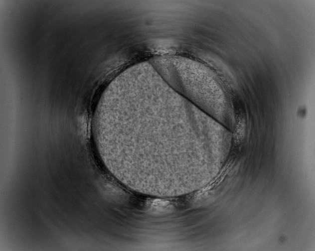 X0000103320180200810171410