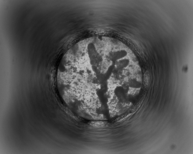 X0000103320181200810171410