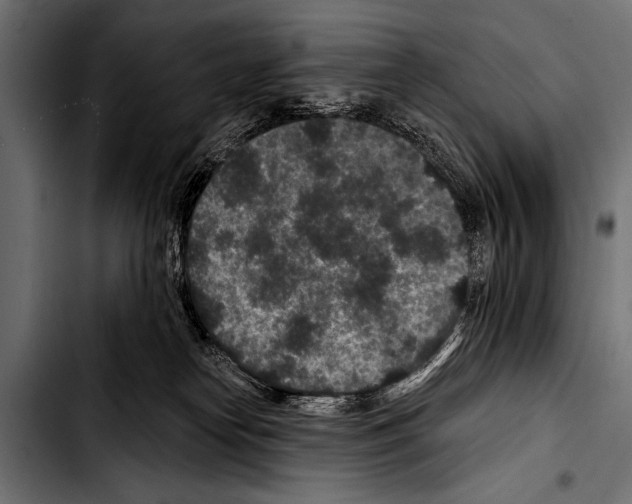 X0000103320182200810171410