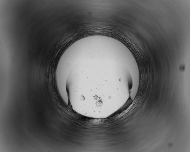 X0000103320184200810171410