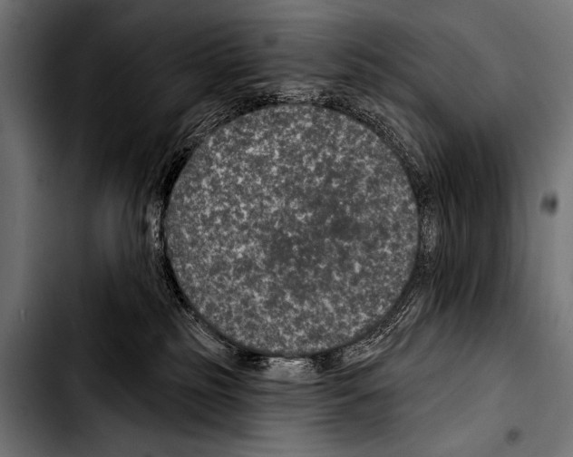 X0000103320185200810171410