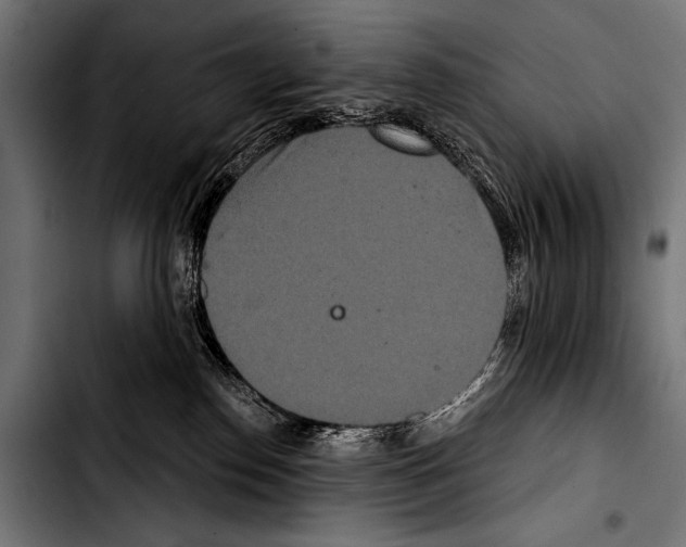 X0000103320186200810171410