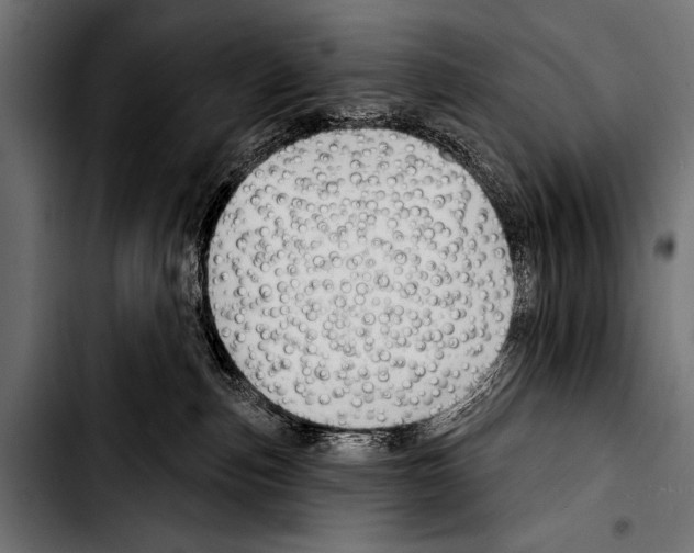 X0000103320187200810171410