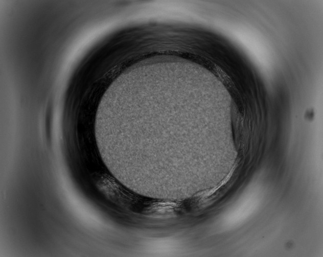 X0000103320190200810171410