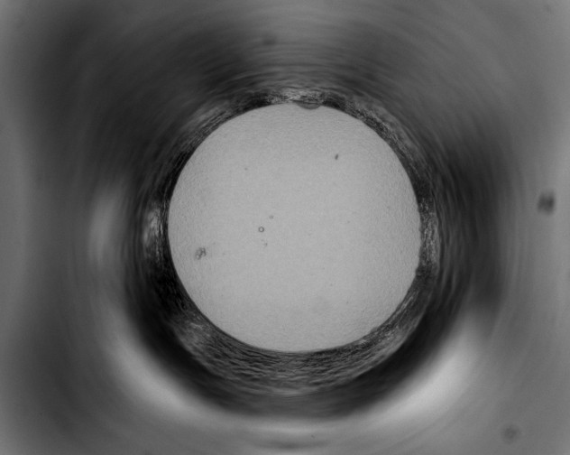 X0000103320191200810171410