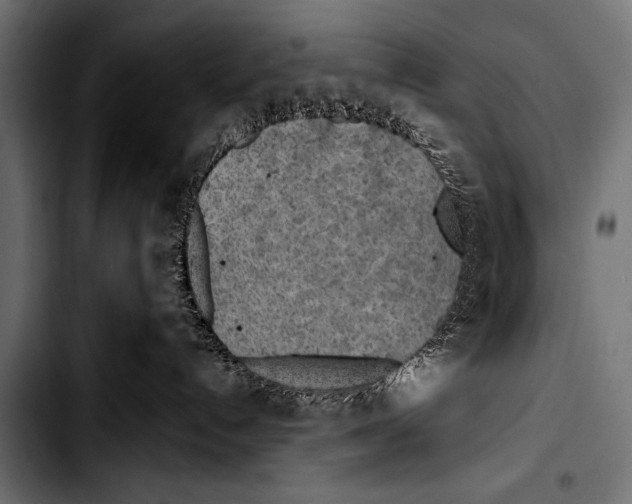 X0000103320192200810171410