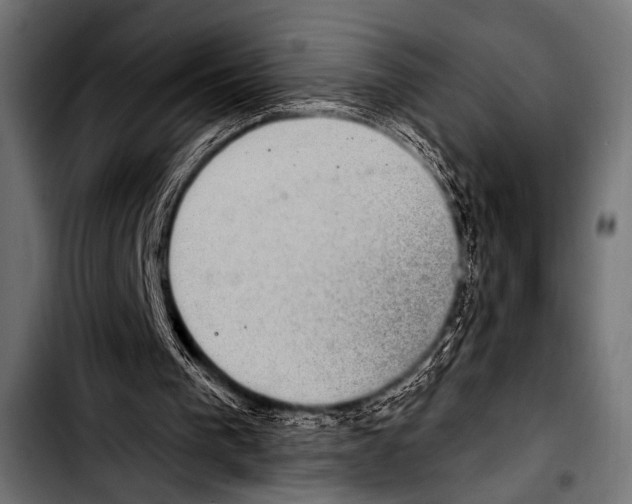 X0000103320193200810171409
