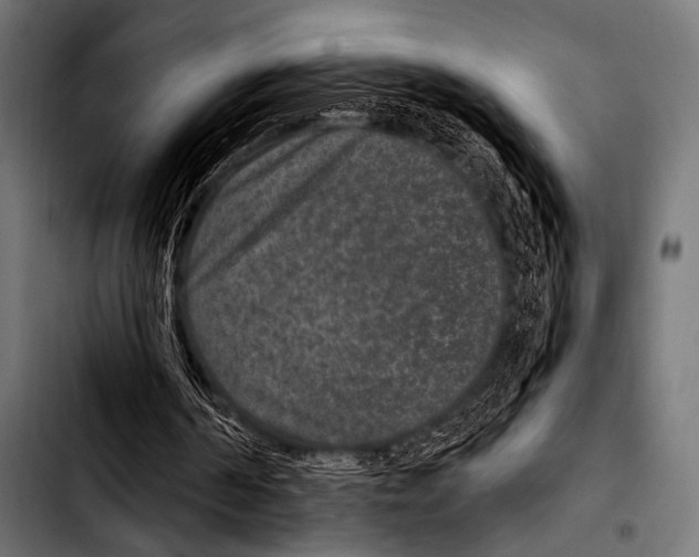 X0000103320194200810171409
