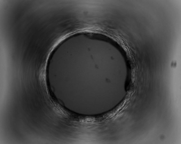 X0000103320196200810171409