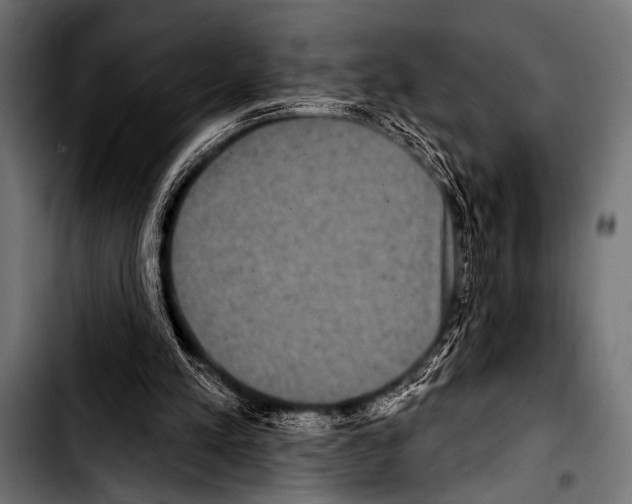 X0000103320197200810171409