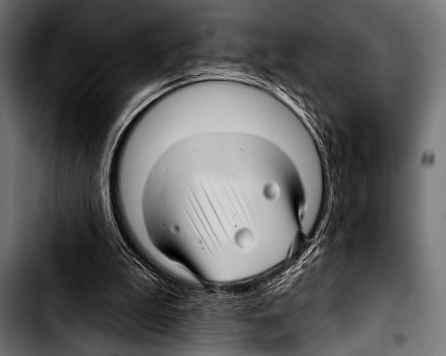 X0000103320199200810171409